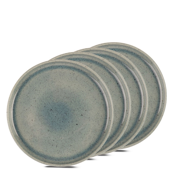 Carnstroan Commercial Dishwasher Safe 11'' Stoneware Dinner Plate , Set